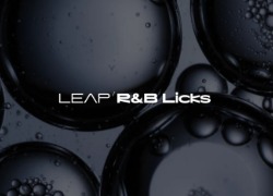 Native Instruments Leap Expansion - R&B Licks